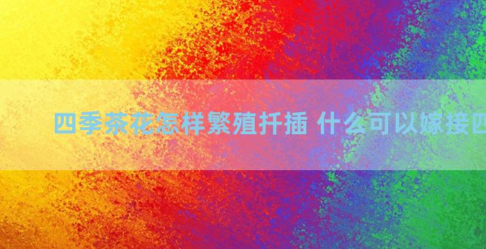 四季茶花怎样繁殖扦插 什么可以嫁接四季茶花